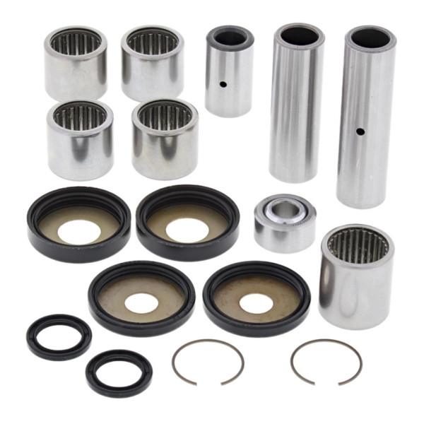 All Balls Linkage bearing kit dr350se